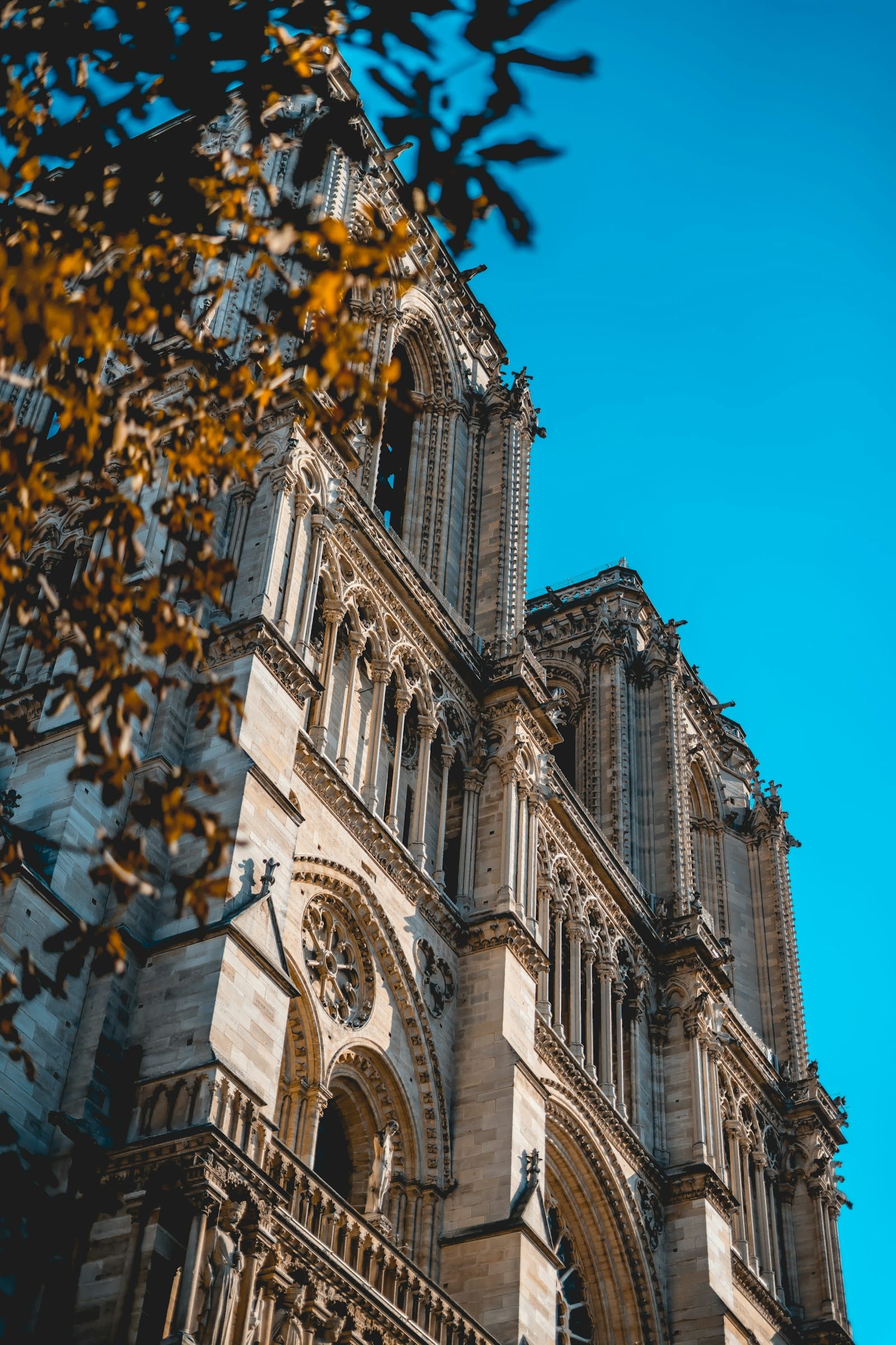 Notre-Dame